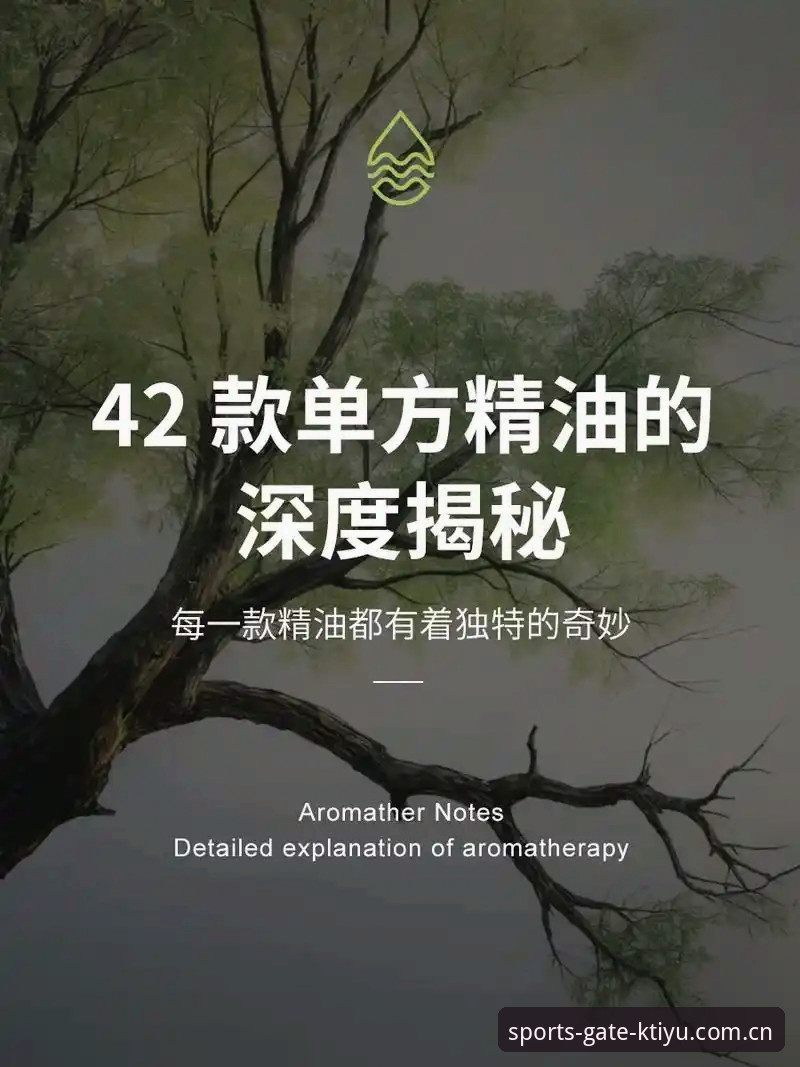 K体育安卓版评测 深度揭秘K体育安卓版评测:实测数据、安装细节与用户真实反馈